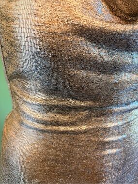 Temu Mini Home Temu | Dresses | Temu Metallic Silver Hold Cowl Neck Spaghetti Strap ...